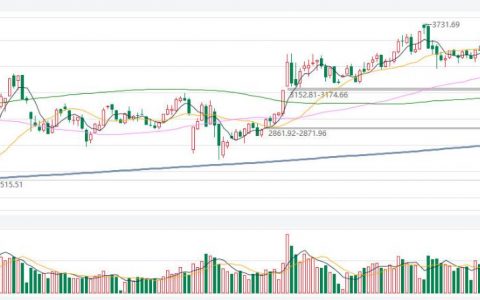期货大蒜直播买蒜